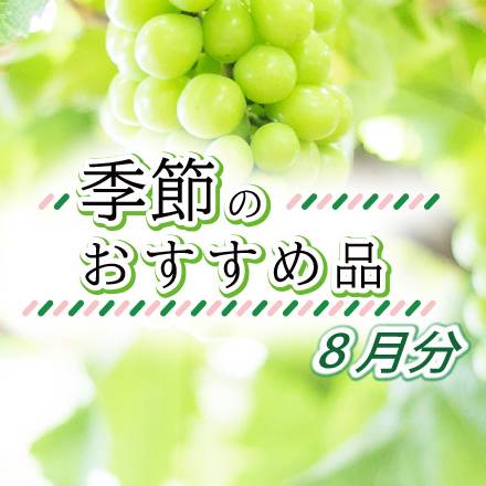 季節のおすすめ品　8月分