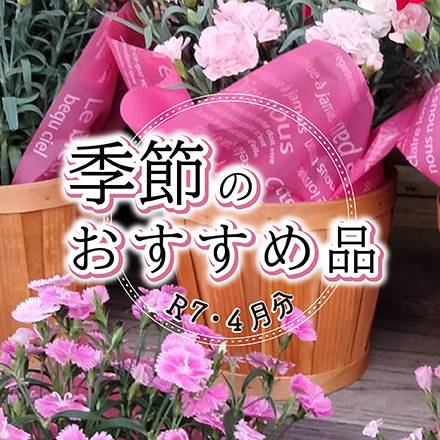 季節のおすすめ品　4月分