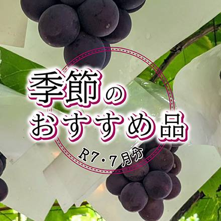 季節のおすすめ品　7月分
