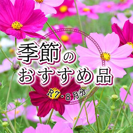 季節のおすすめ品　8月分