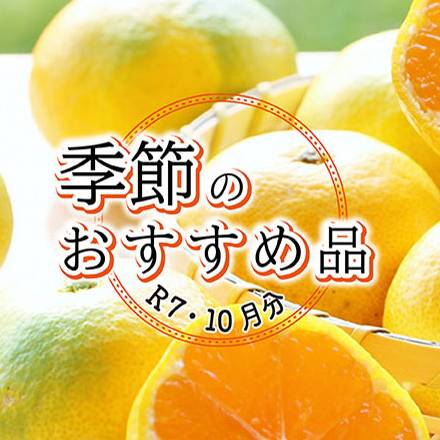 季節のおすすめ品　10月分