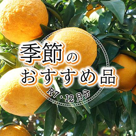 季節のおすすめ品　12月分