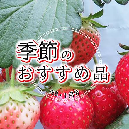 季節のおすすめ品　1月分