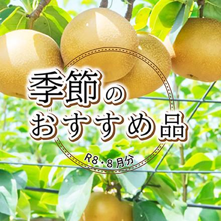 季節のおすすめ品　8月分