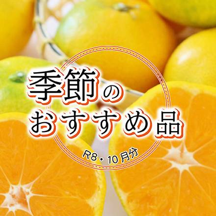 季節のおすすめ品 10月分