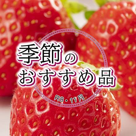 11月のおすすめ品